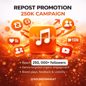 Repost Promotion 250K Campaign