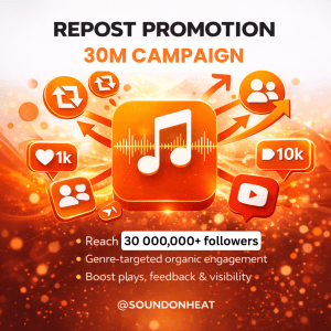 Repost Promotion 30M Campaign
