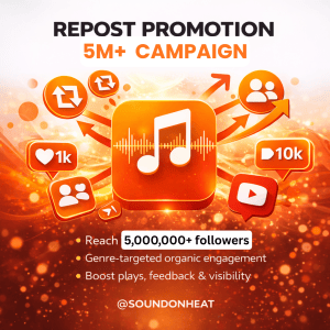 Repost Promotion 5M Campaign